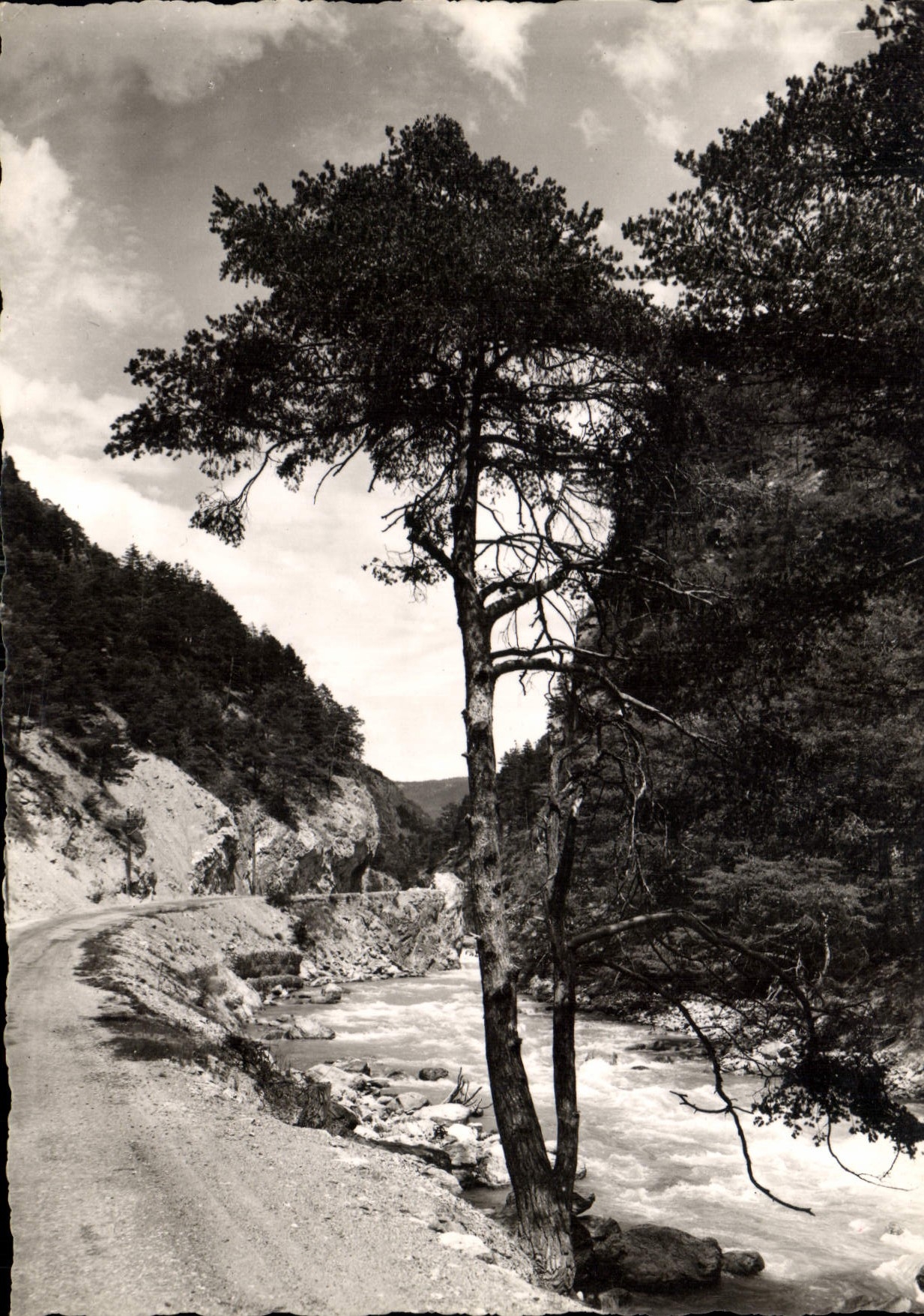 CPM Vallee du Queyras Les Gorges du Guil 
