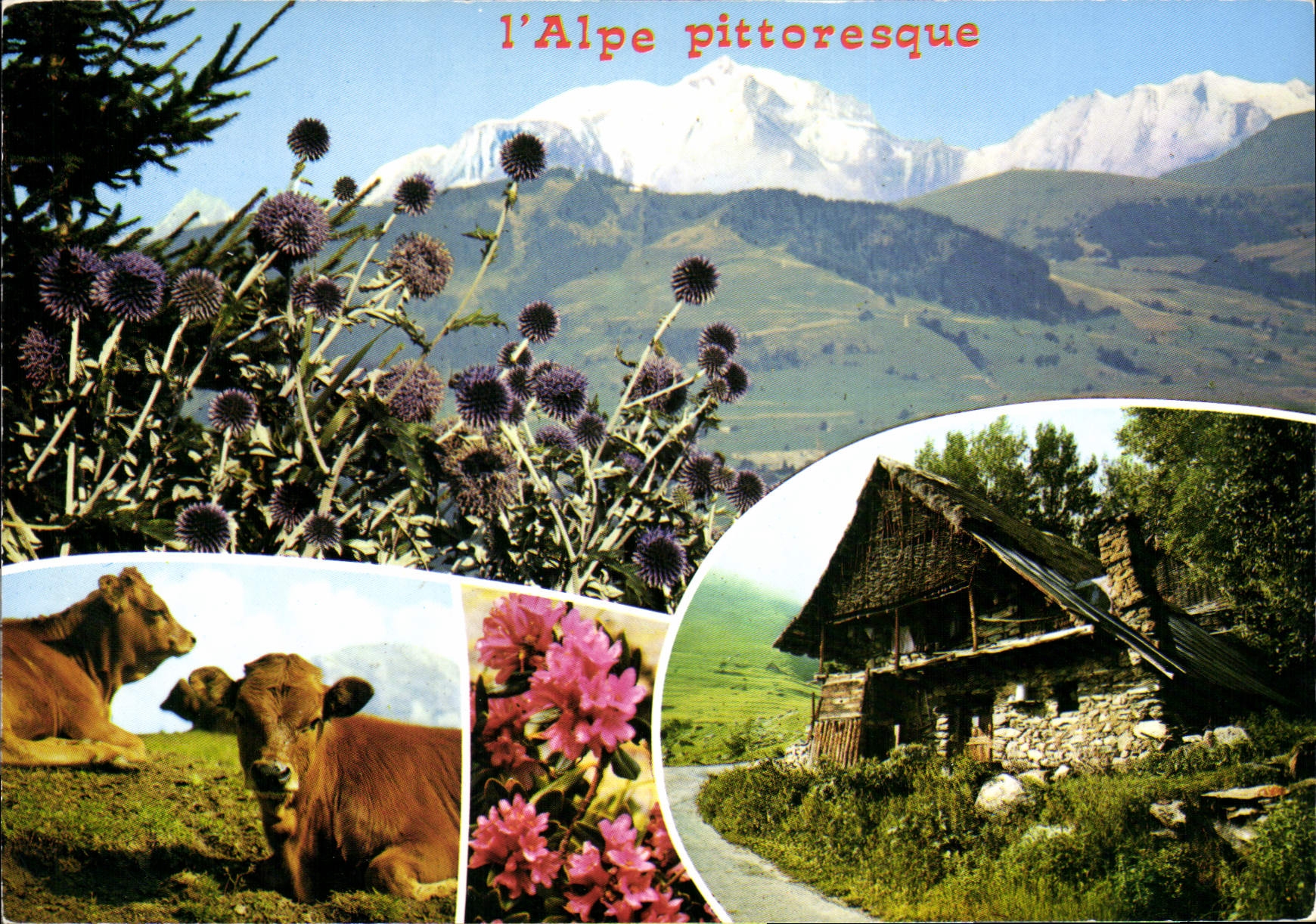 CPM L'Alpe pittoresque 