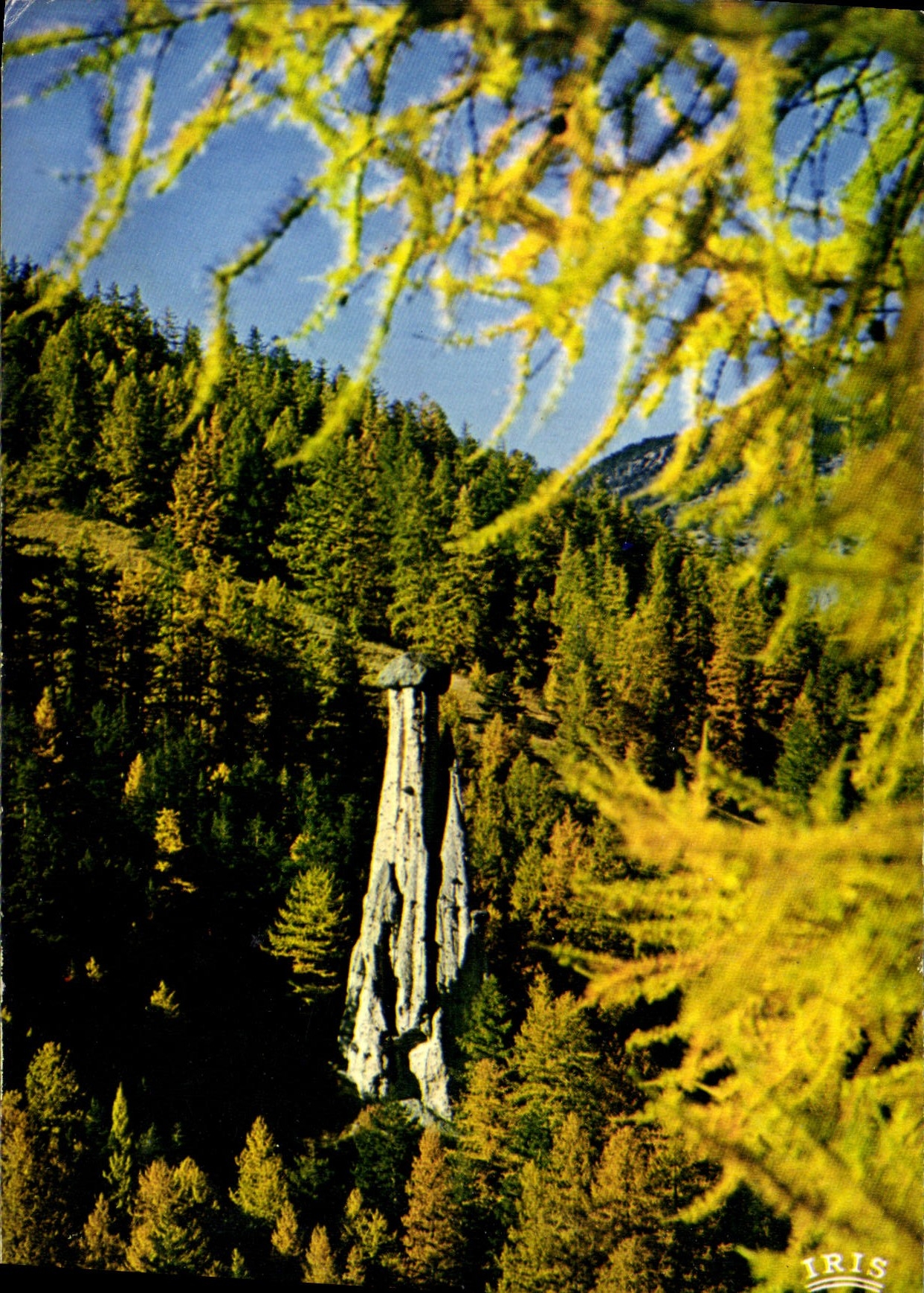 CPM Le Queyras Hautes Alpes La Demoiiselle Coiffee de Molines