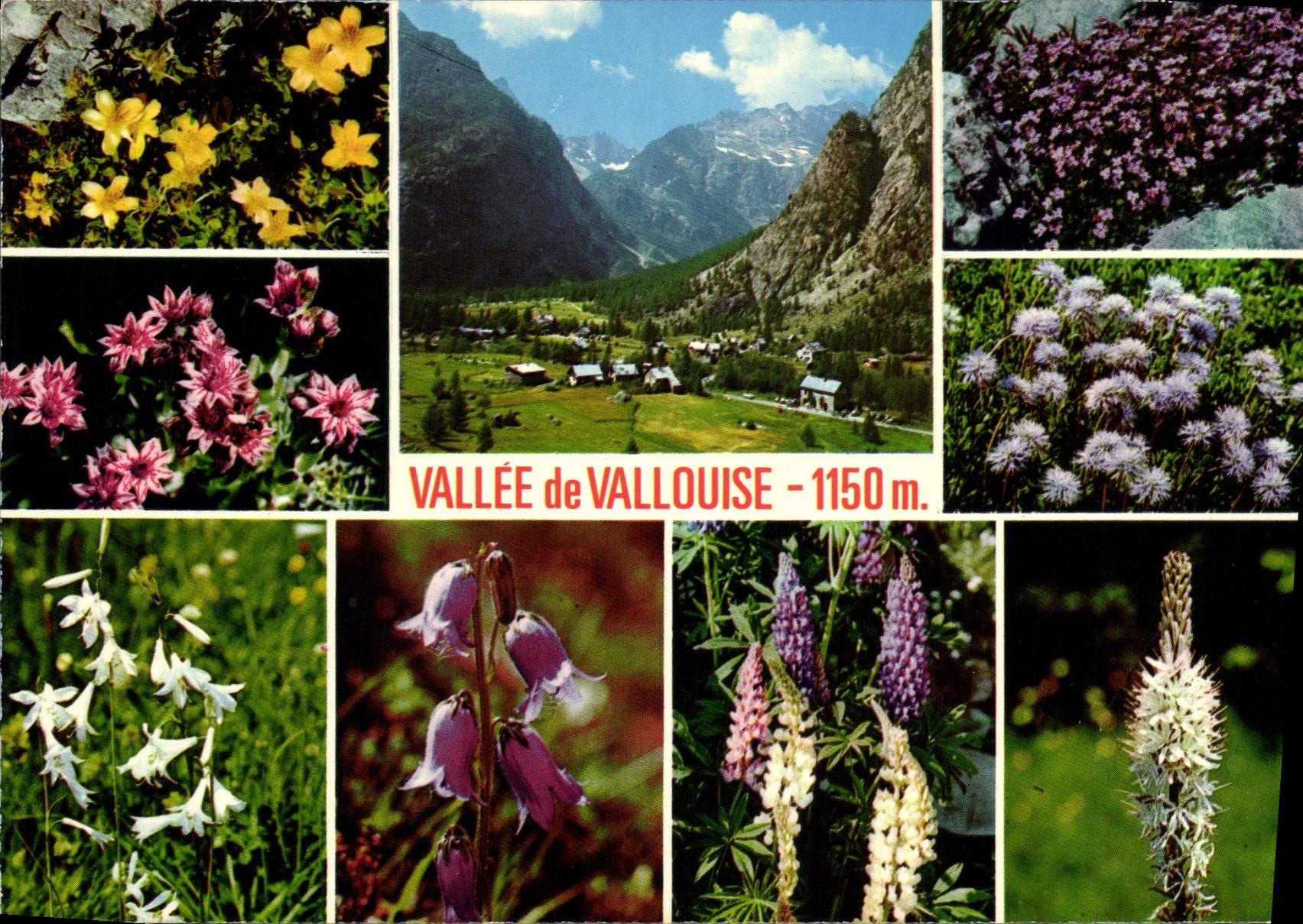 CPM Vallee de Vallouise 