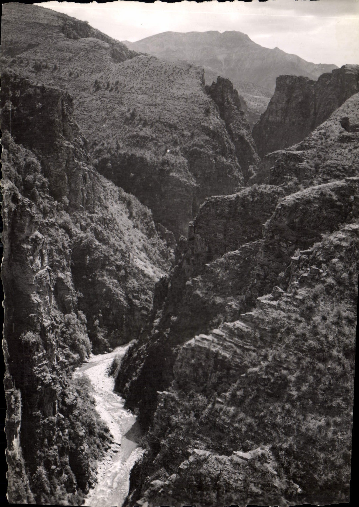 CPM La Route des Grandes Alpes Gorges de Daluis Le Point Sublime du Defile du Var 