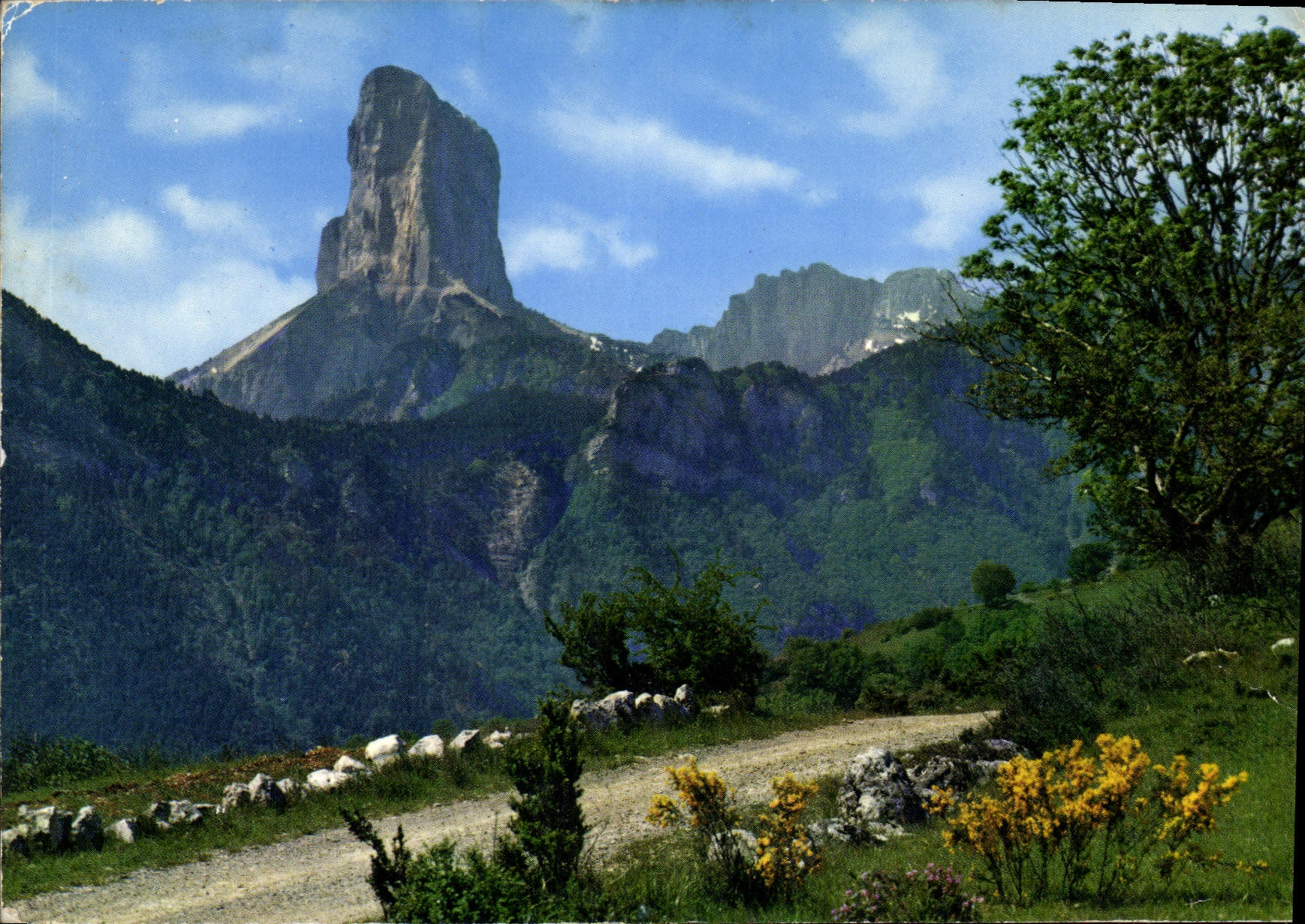 CPM Les Alpes touristiques Le Mont Aiguille 