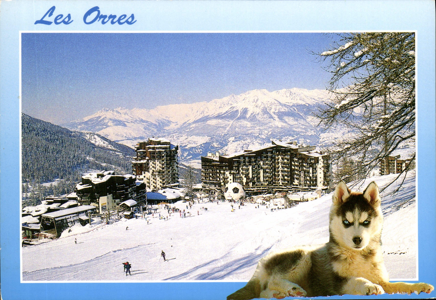 CPM Les Orres Chien Husky