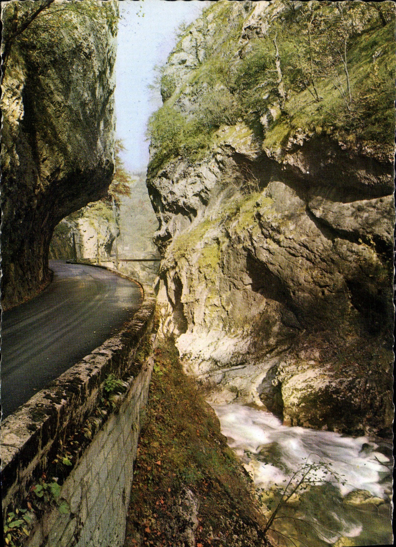 CPM Dans les Alpes Route et Ruisseau dans les Gorges