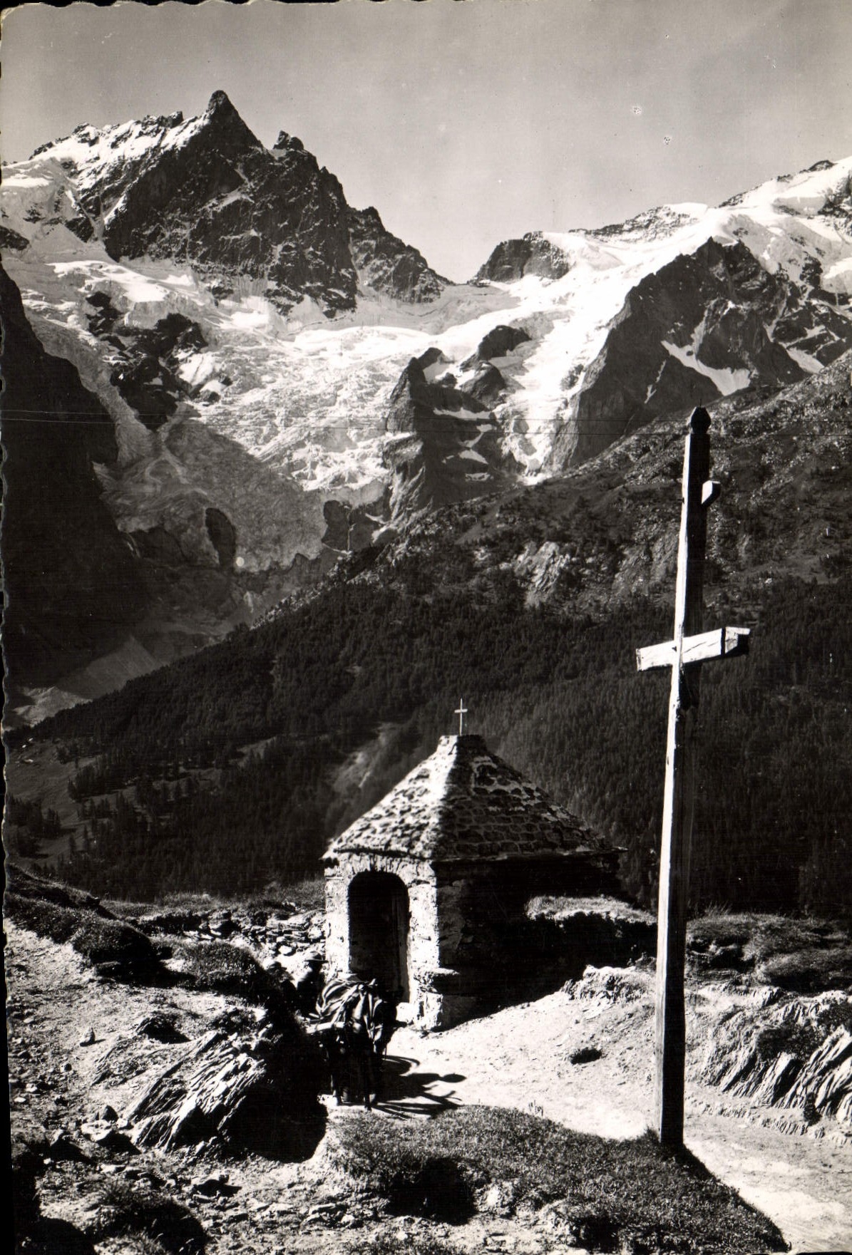 CPM La Route des Alpes Massif de la Meije Htes Alpes