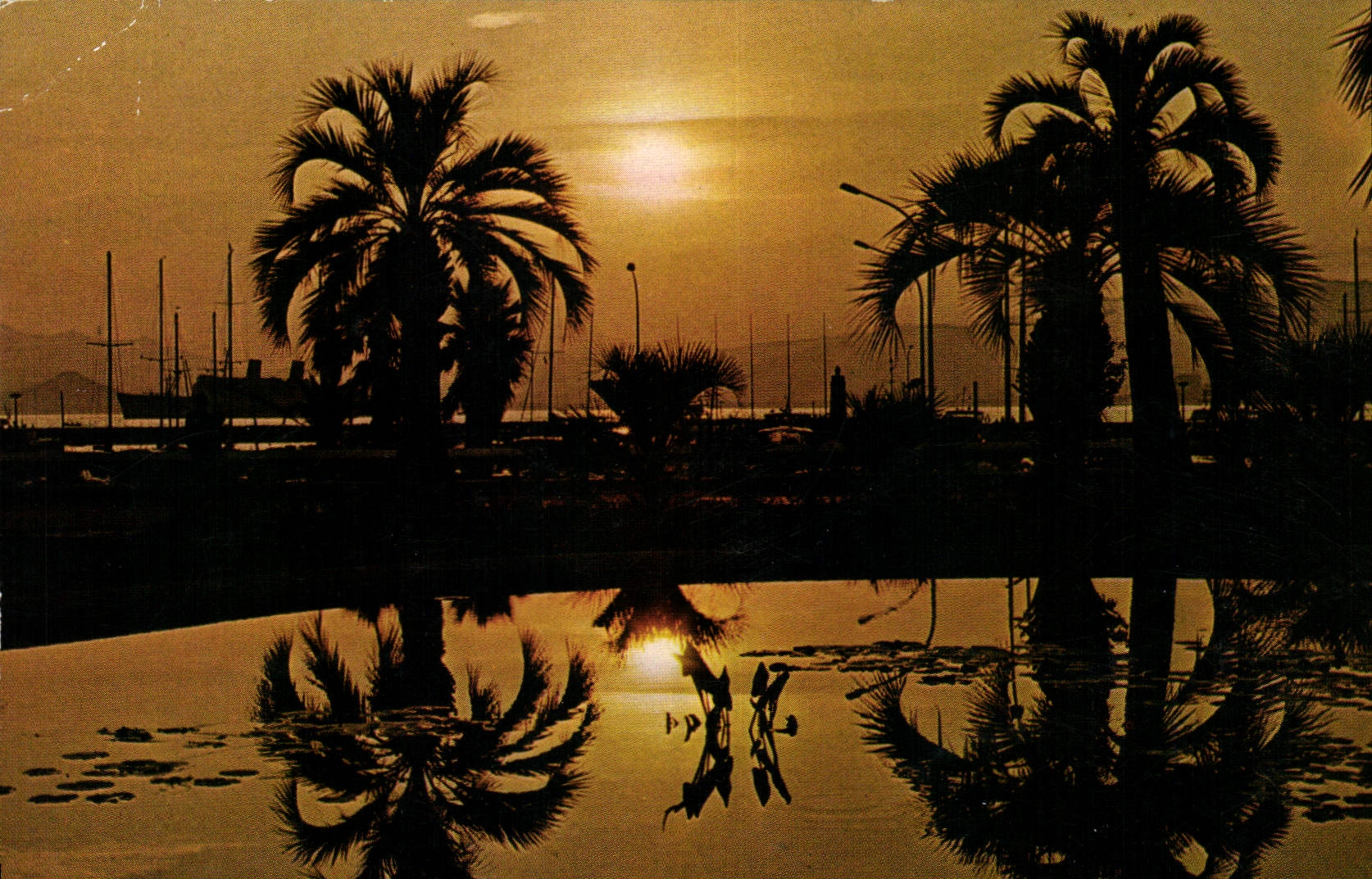 CPM Cote d'Azur French Riviera Coucher de Soleil