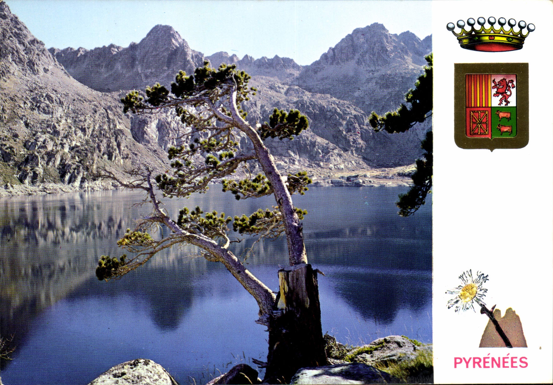 CPM Lumiere et couleurs des Pyrenees 