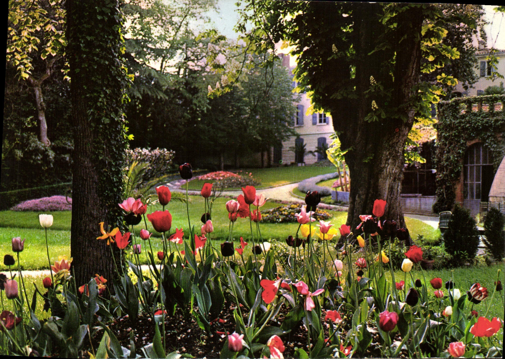 CPM Pamiers Les Jardins 