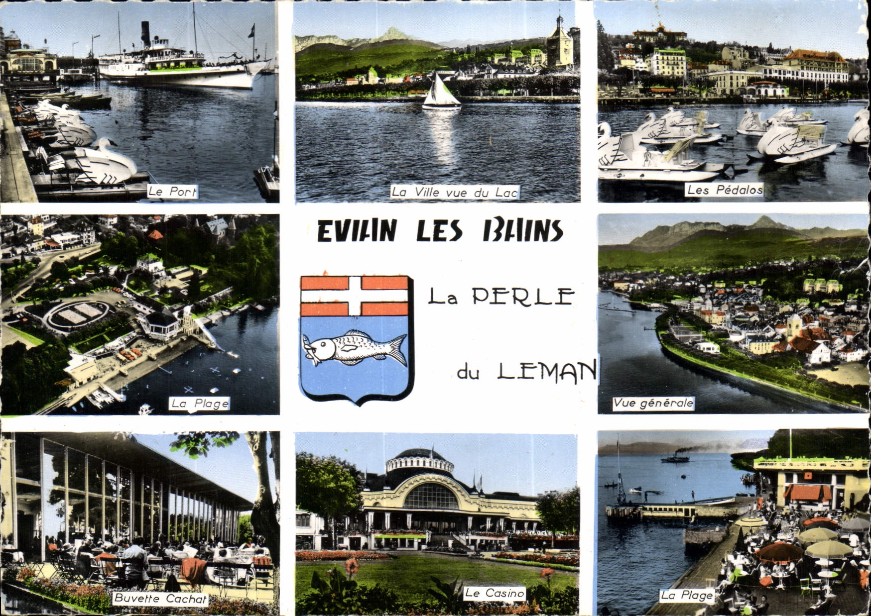 CPM Evian les Bains La Perle du Leman