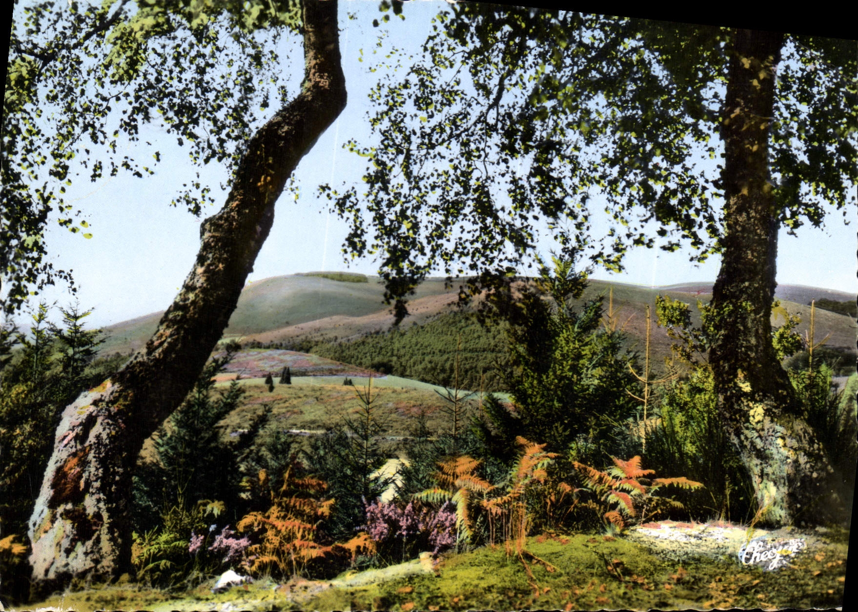 CPM La Limousin Pittoresque En Correze Les Monedieres 