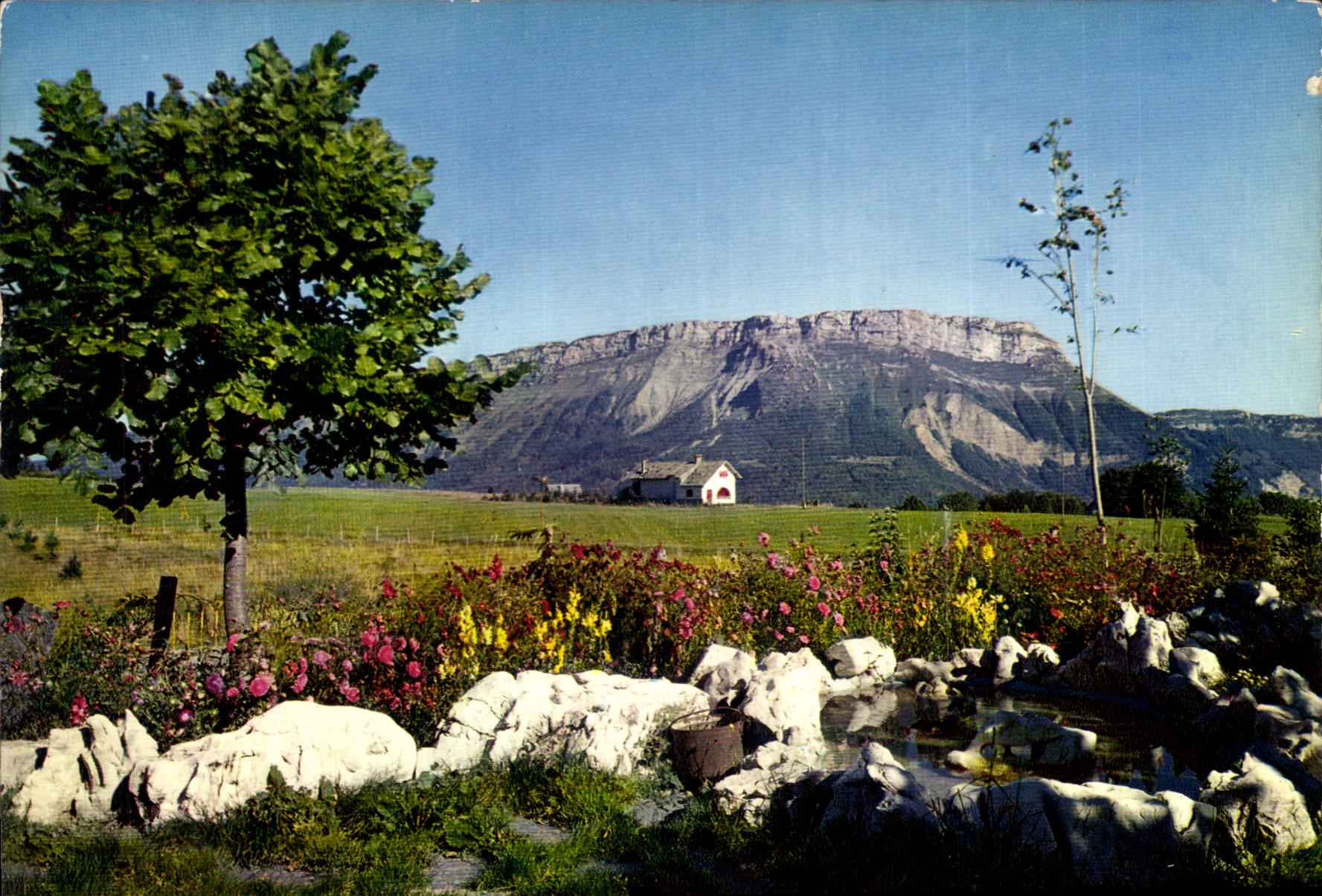 CPM La Feclaz en ete Rocaille fleurie face au Margeriaz