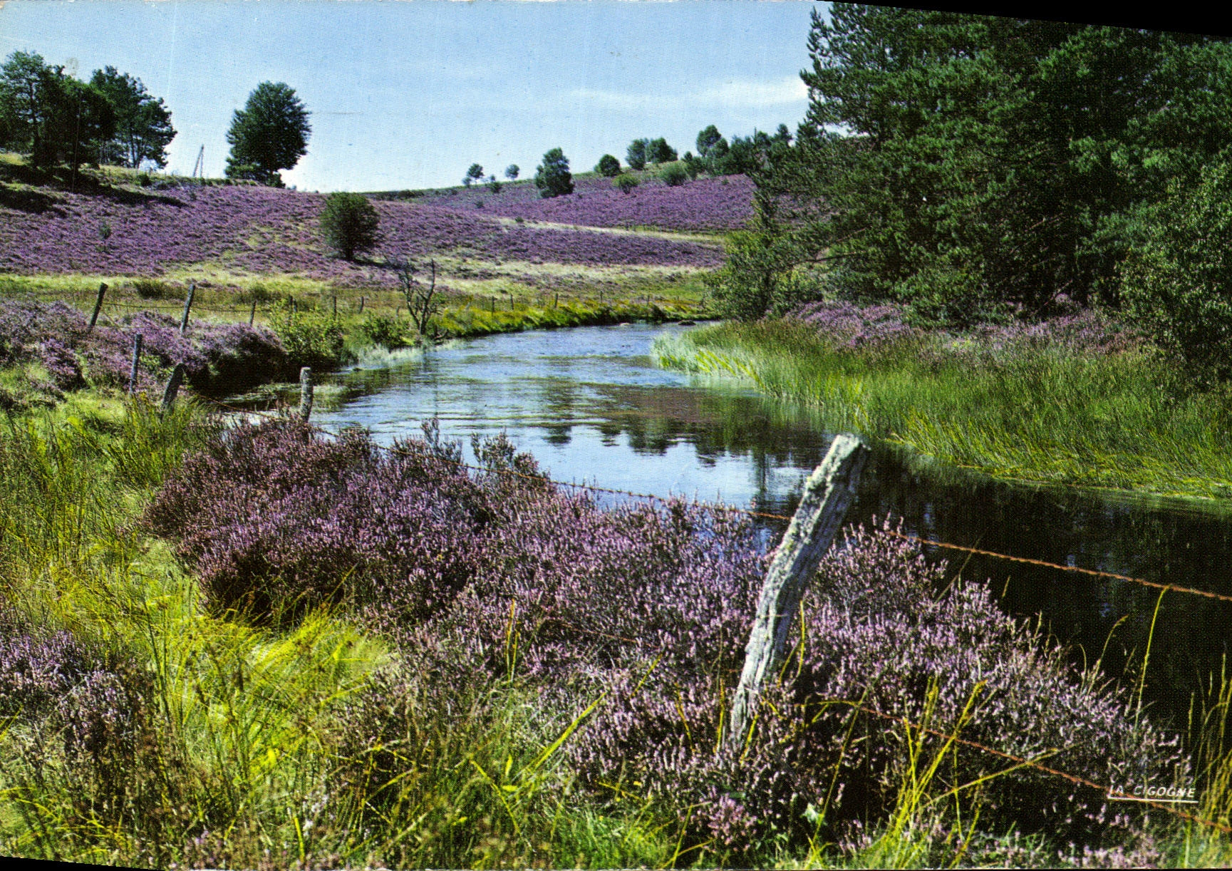 CPM Collonges La Rouge Correze Vallee de la Vezere