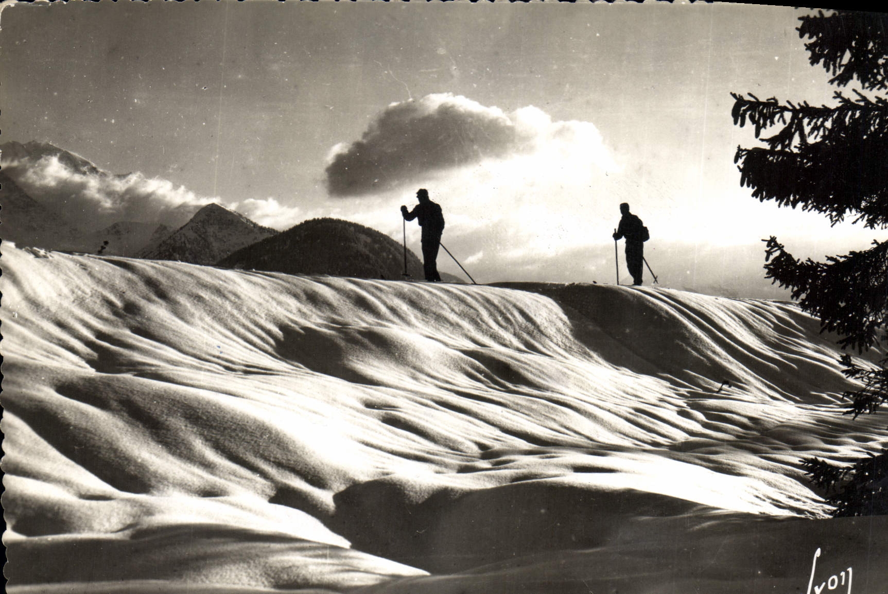 CPM La Savoie Neige et skieurs 