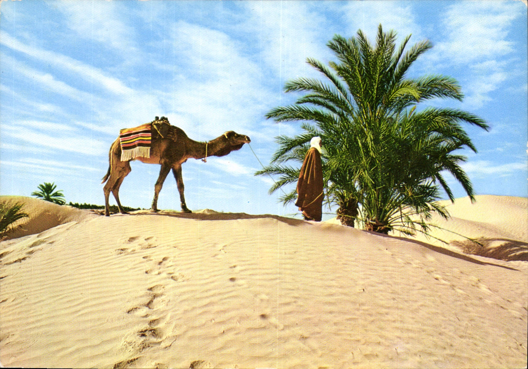 CPM Tunisie Sud tunisien Le desert 