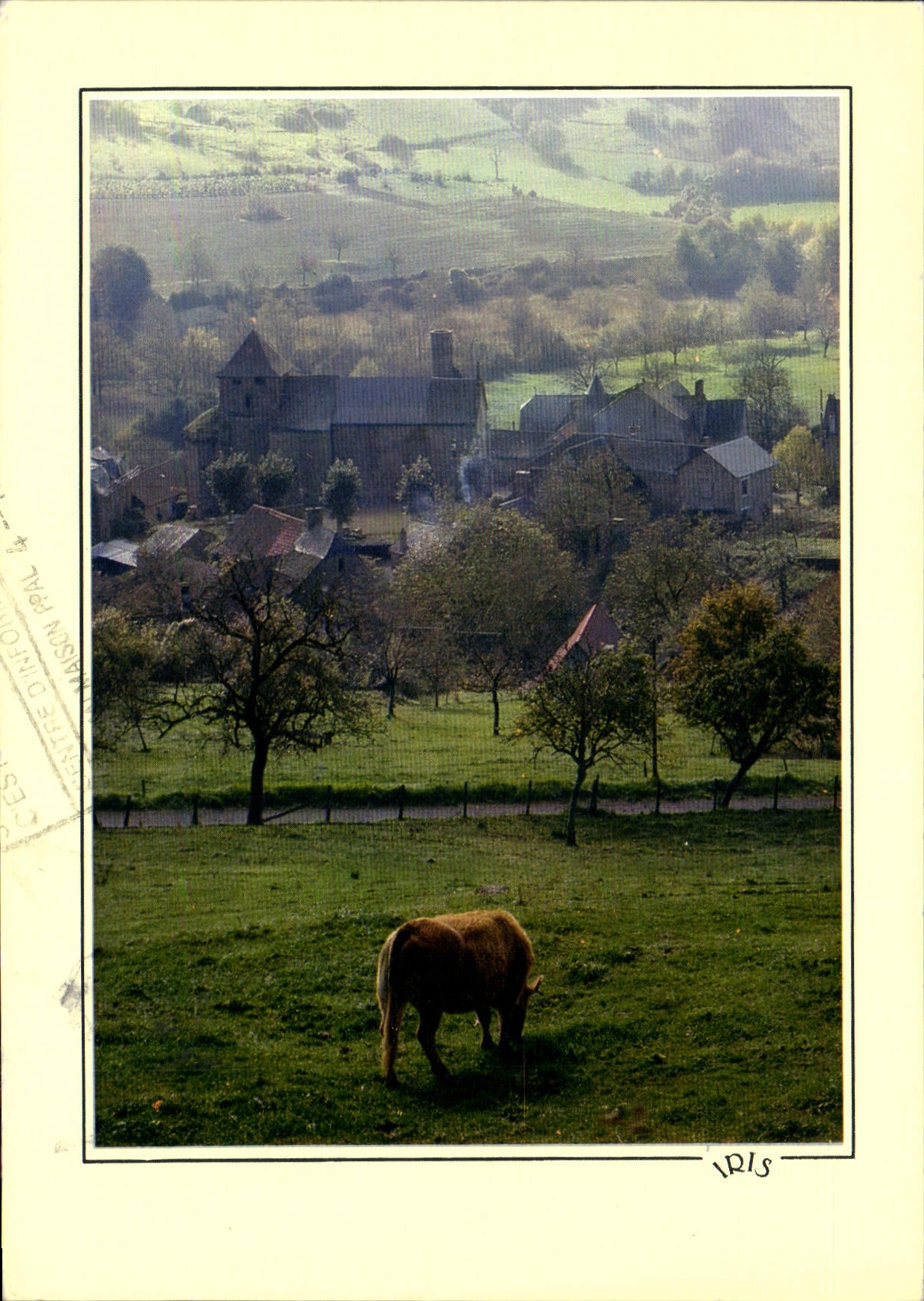 CPM Reflets de Correze Paturages au dessus de Noalhac village blotti autour de son eglise fortiflee 