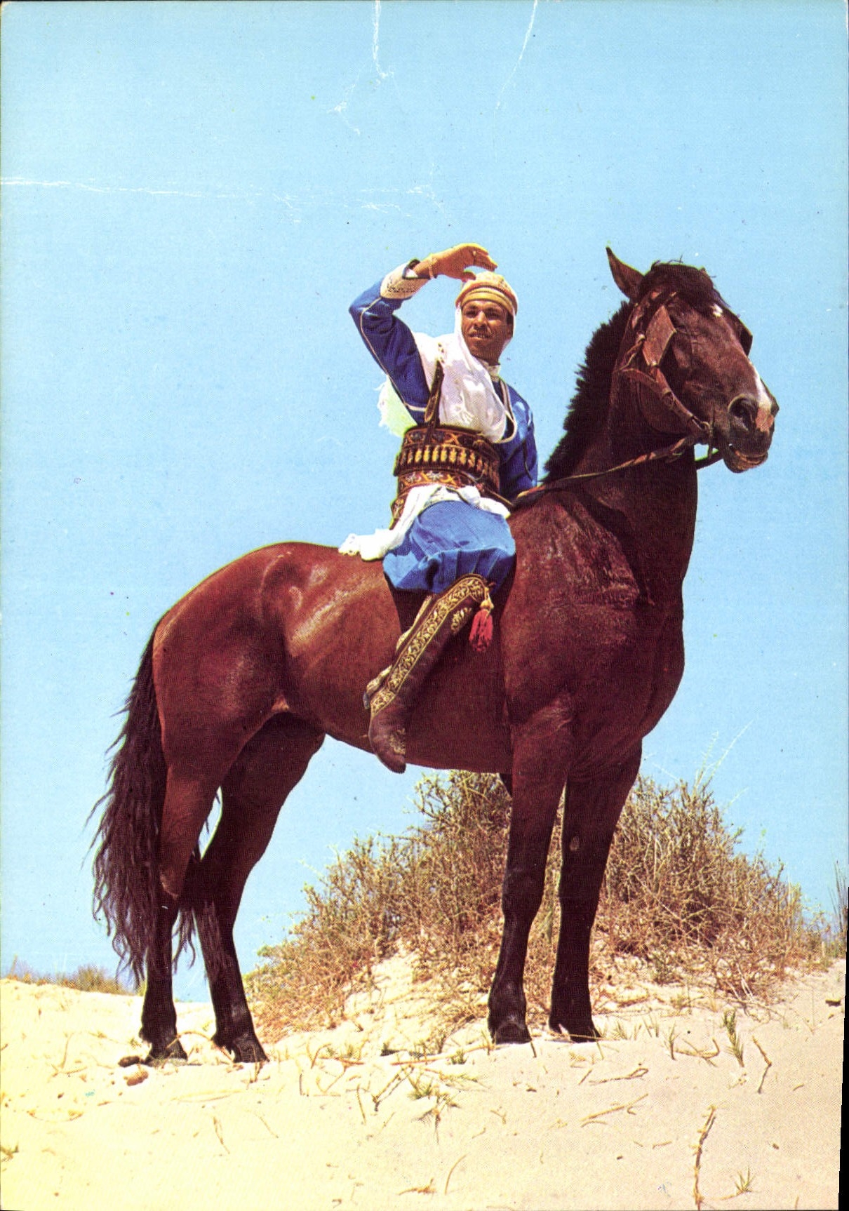CPM Tunisie Un Cavalier 