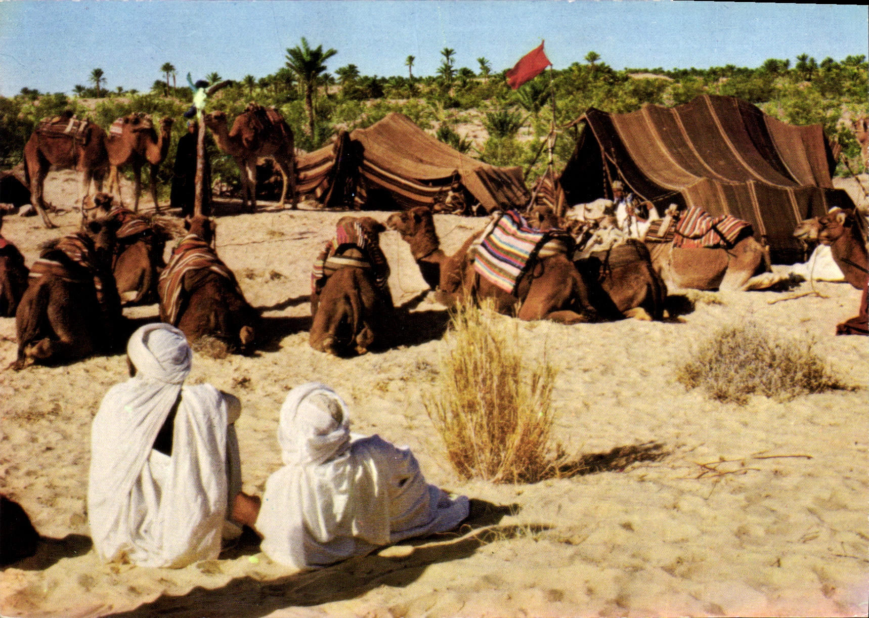 CPM Nefta Tunisie 
