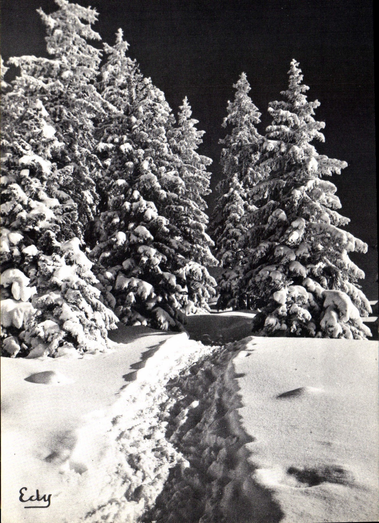 CPM Images de Chez Nous en Hiver Le sentier enneige 