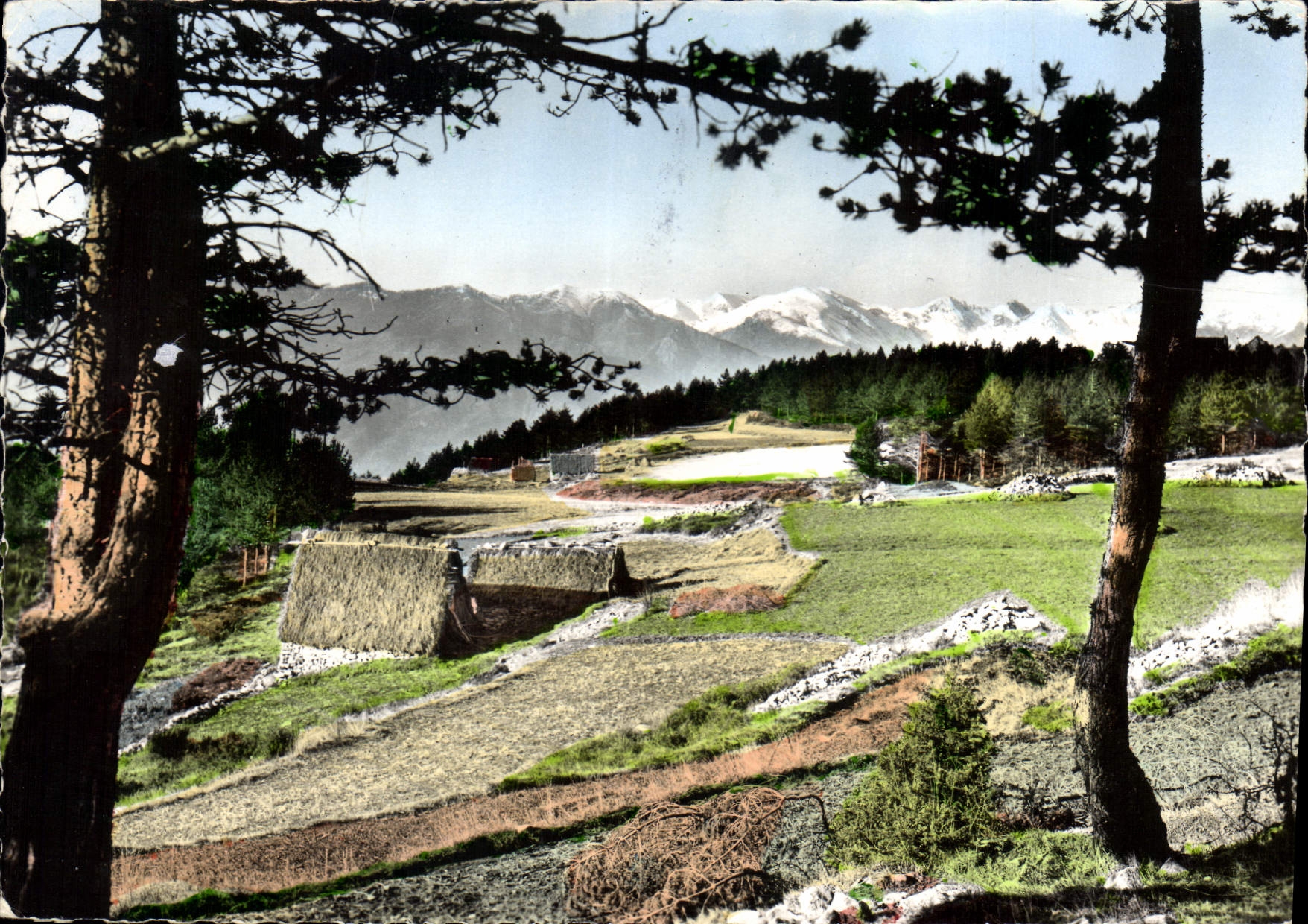 CPM Pierra Cava Station esticate et de sports d'hiver Vue sur les Alpes
