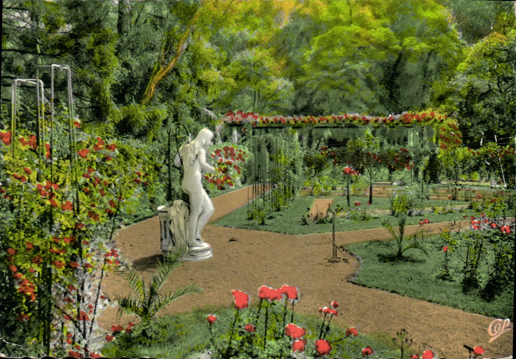 CPM Lyon Parc de la Tete d'Or La Roseraie 