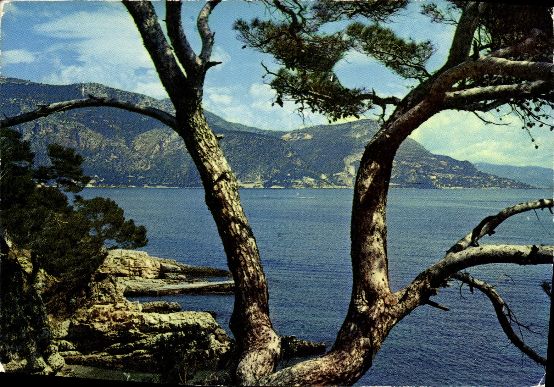 CPM Cote d'Azur St Jean Cap Ferrat Vue prise de la promenade Maurice Rouvier 