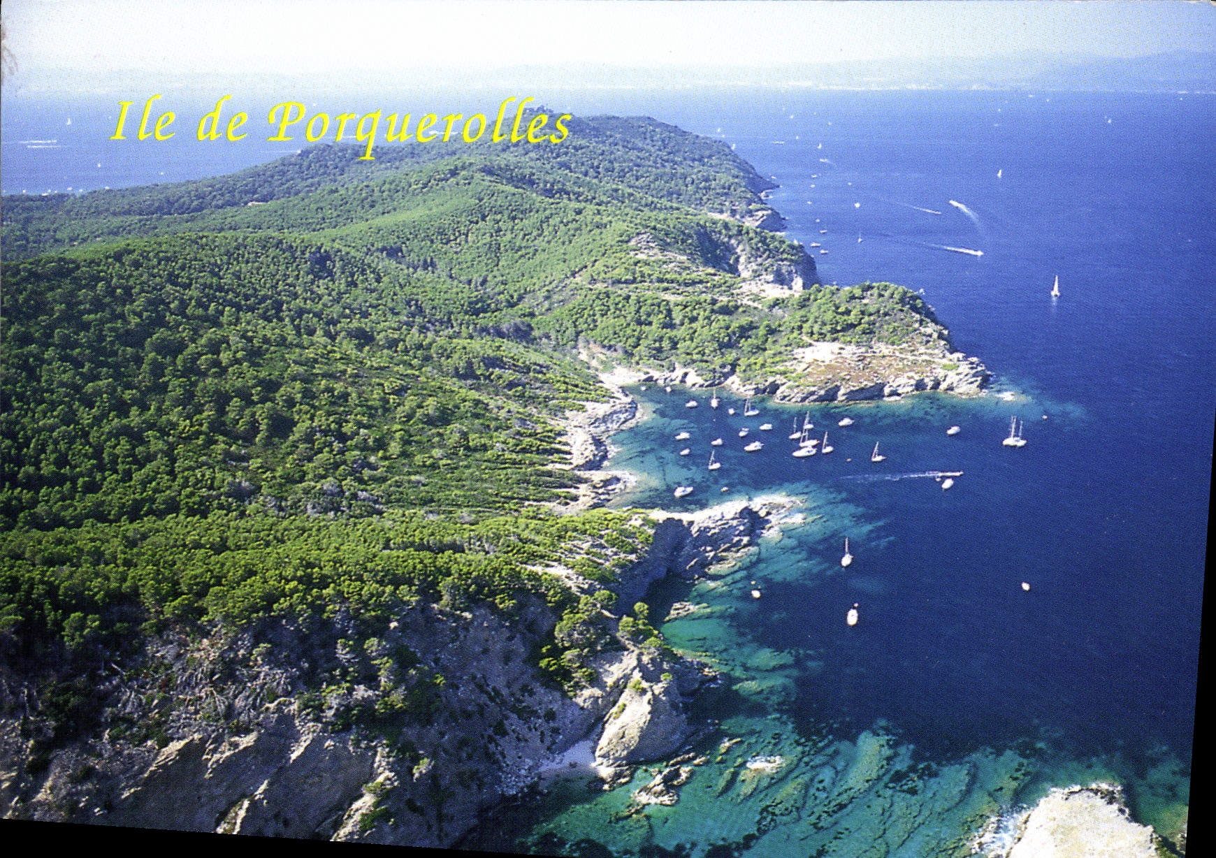 CPM Ile de Porquerolles 