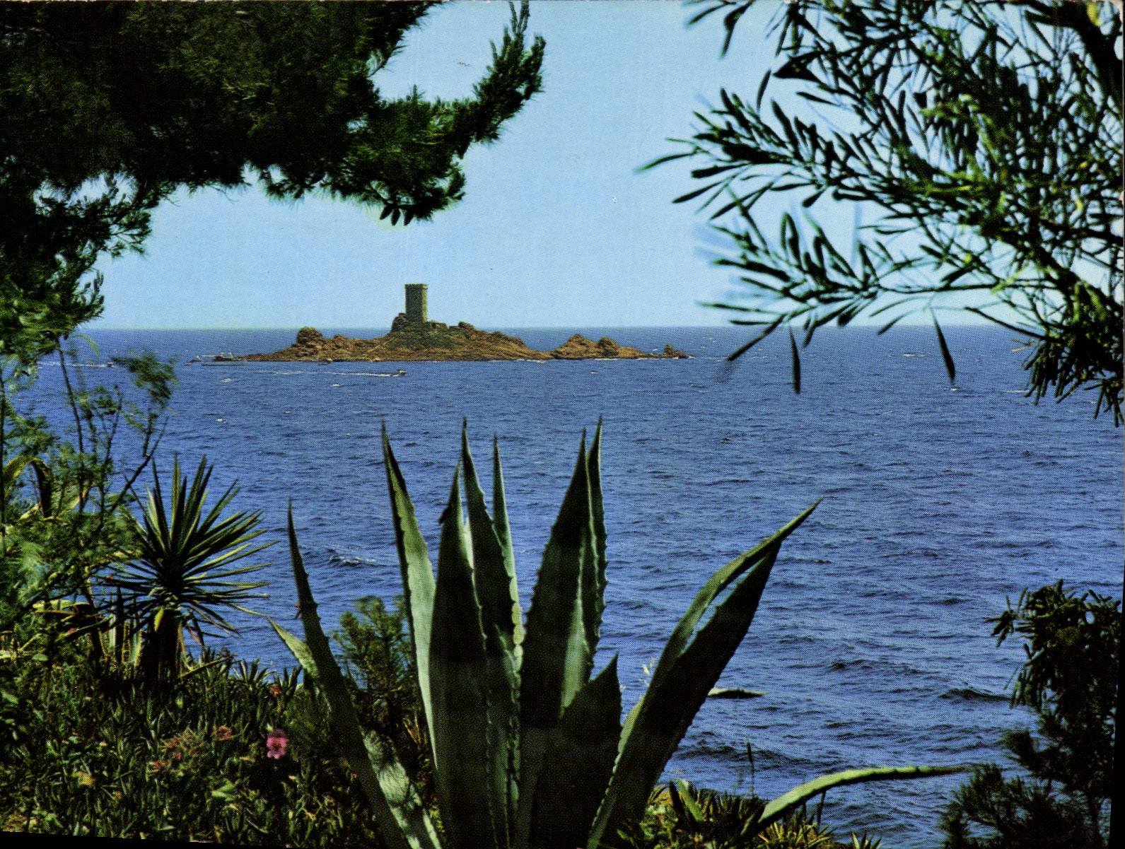 CPM Cote d'Azur Le Dramont L'Ile d'Or 