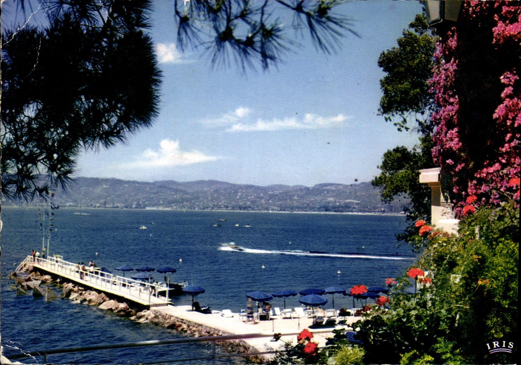 CPM Reflets de la Cote d'Azur Juan les Pins Echappee sur le Golfe Vue prise de l'Hotel Belles Rives 