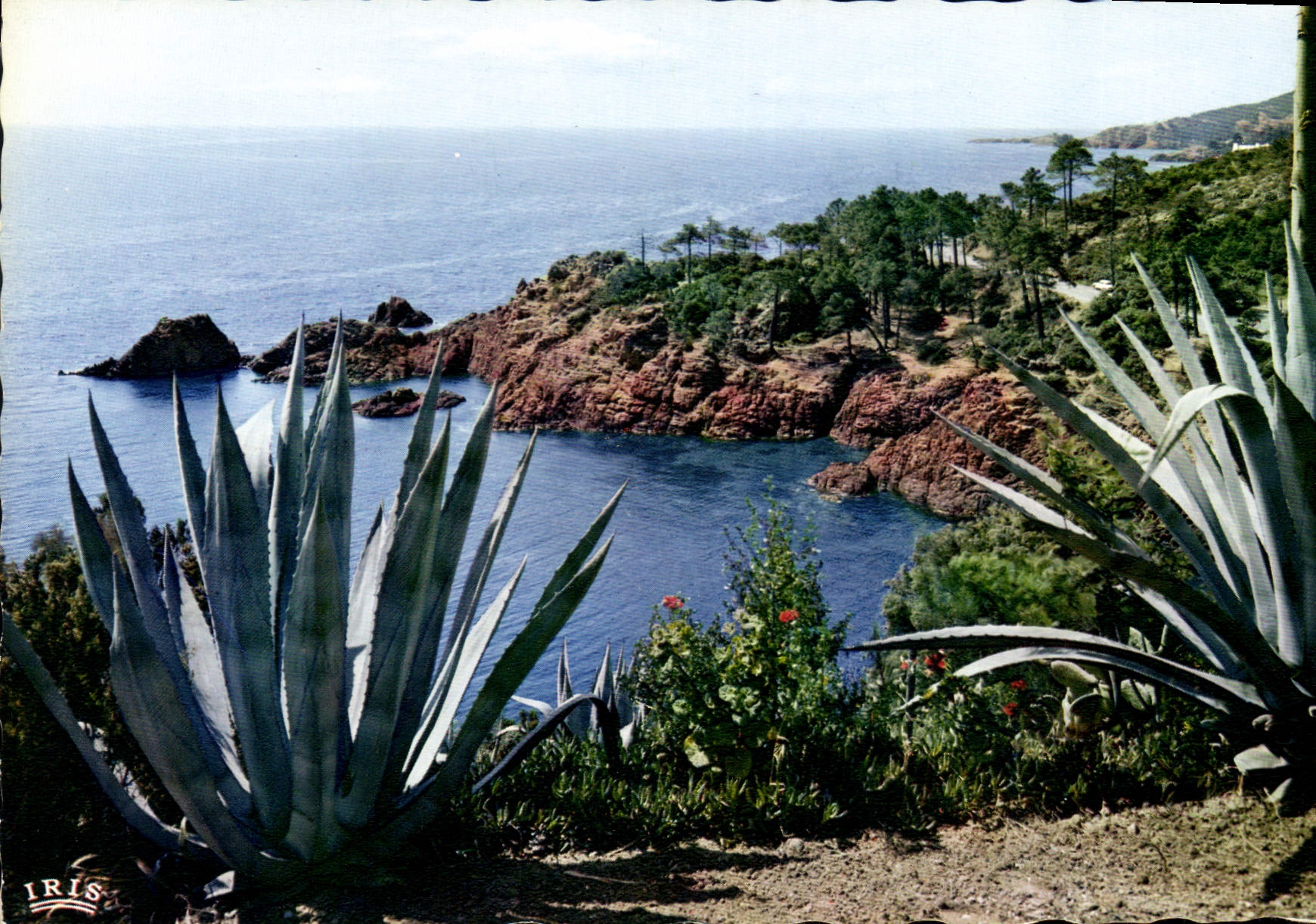 CPM La Corniche d'Or  Rivages mediterraneens