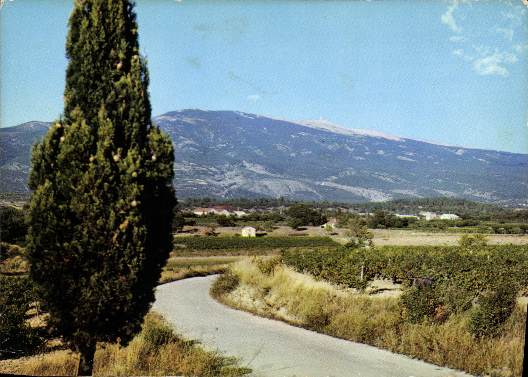 CPM Les Belles Images de Provence Le Mont Ventoux vue panoramique