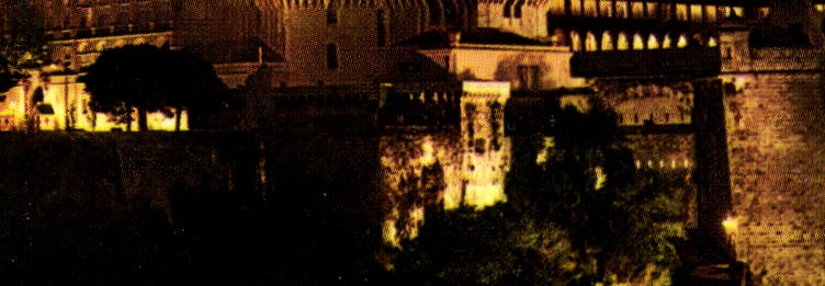 CPM Monaco Le Palais des Grimaldi Illuminee