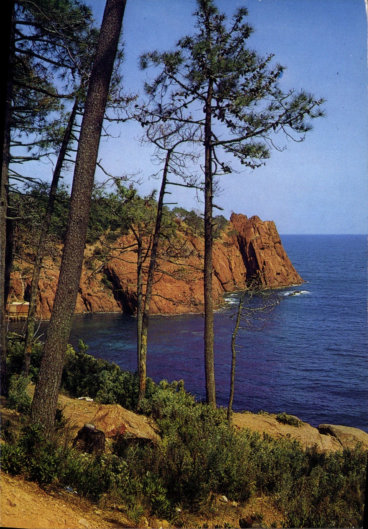 CPM La Cote d'Azur inoubliable La Corniche d'Or Les Roches rouges du Trayas