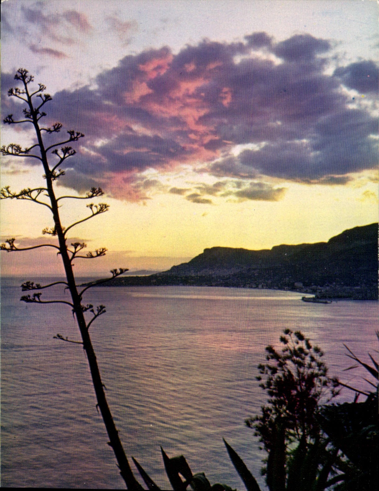 CPM Reflets de la Cote d'Azur Coucher de soleil
