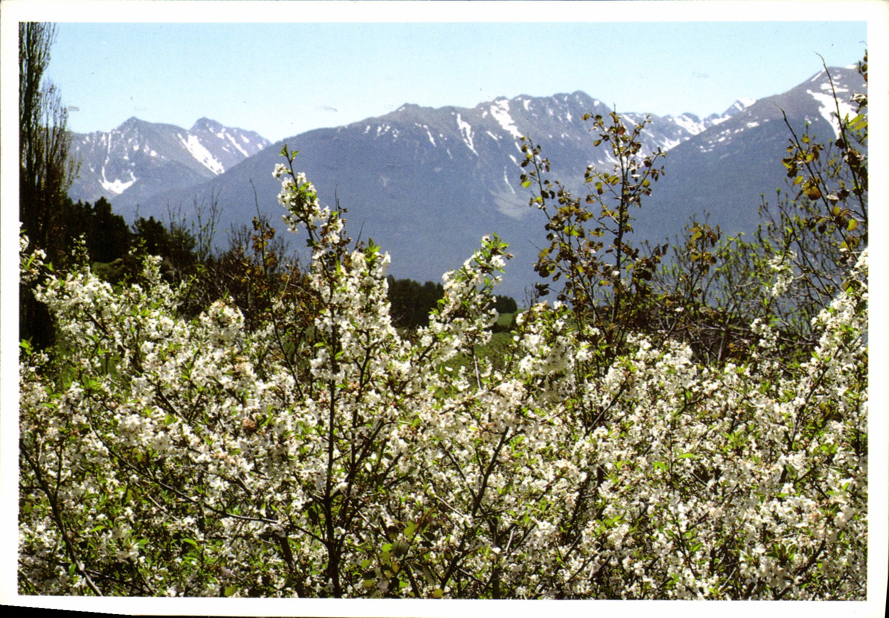 CPM Lumiere et couleurs des Pyrenees La vallee du Malaza 