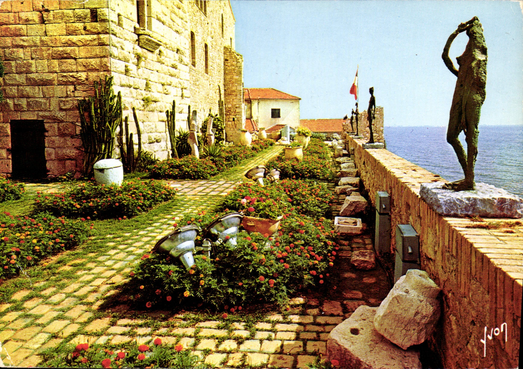 CPM Couleurs et Lumiere de France La Cote d'Azur Miracle de la Nature Antibes Alpes Martimes Le Chat