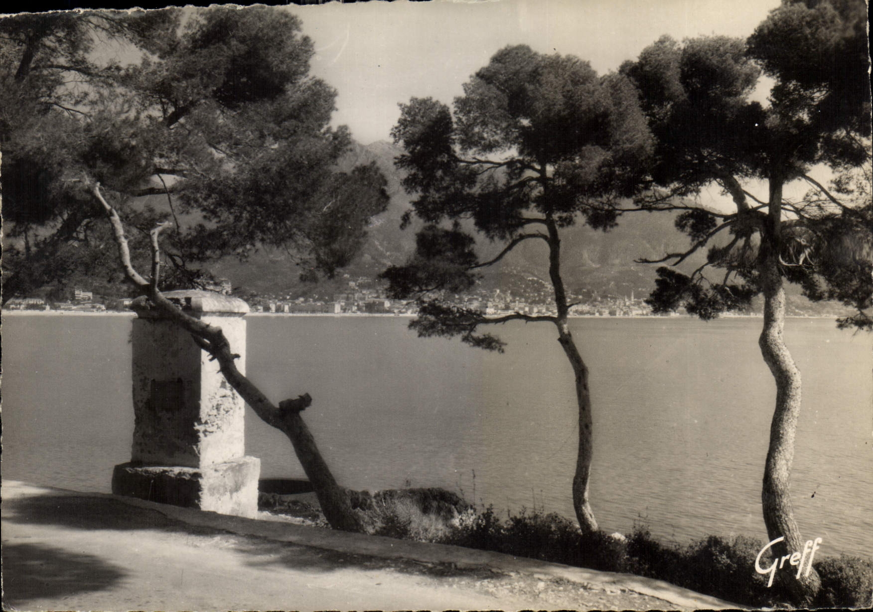 CPM La Cote d'Azur Menton Etude de Pins et vieille fontaine au Cap Martin