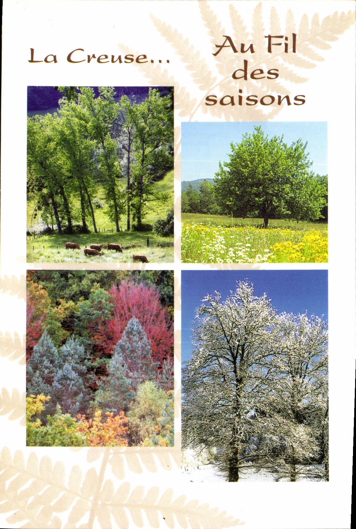 CPM La Creuse au fil des Saisons