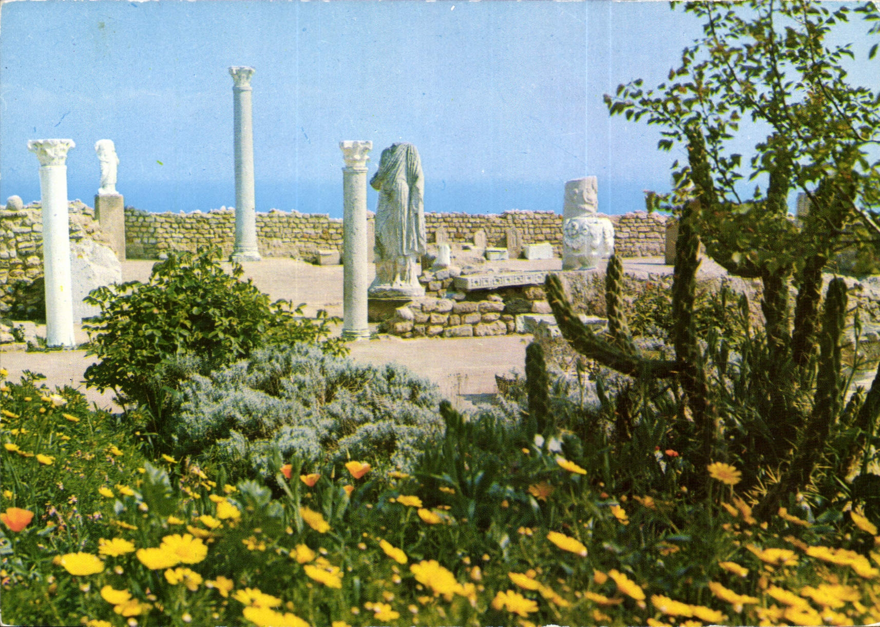 CPM Carthage tunisie l'antiquarium 