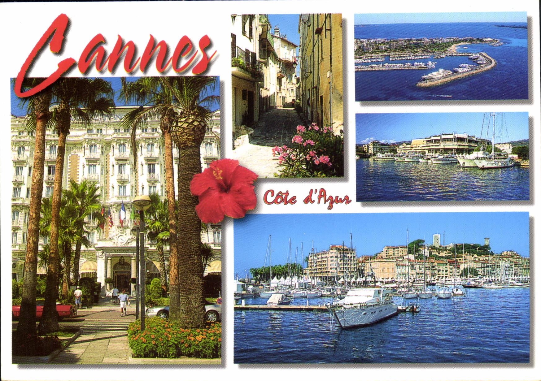 CPM Cote d'Azur Cannes Alpes Maritimes 