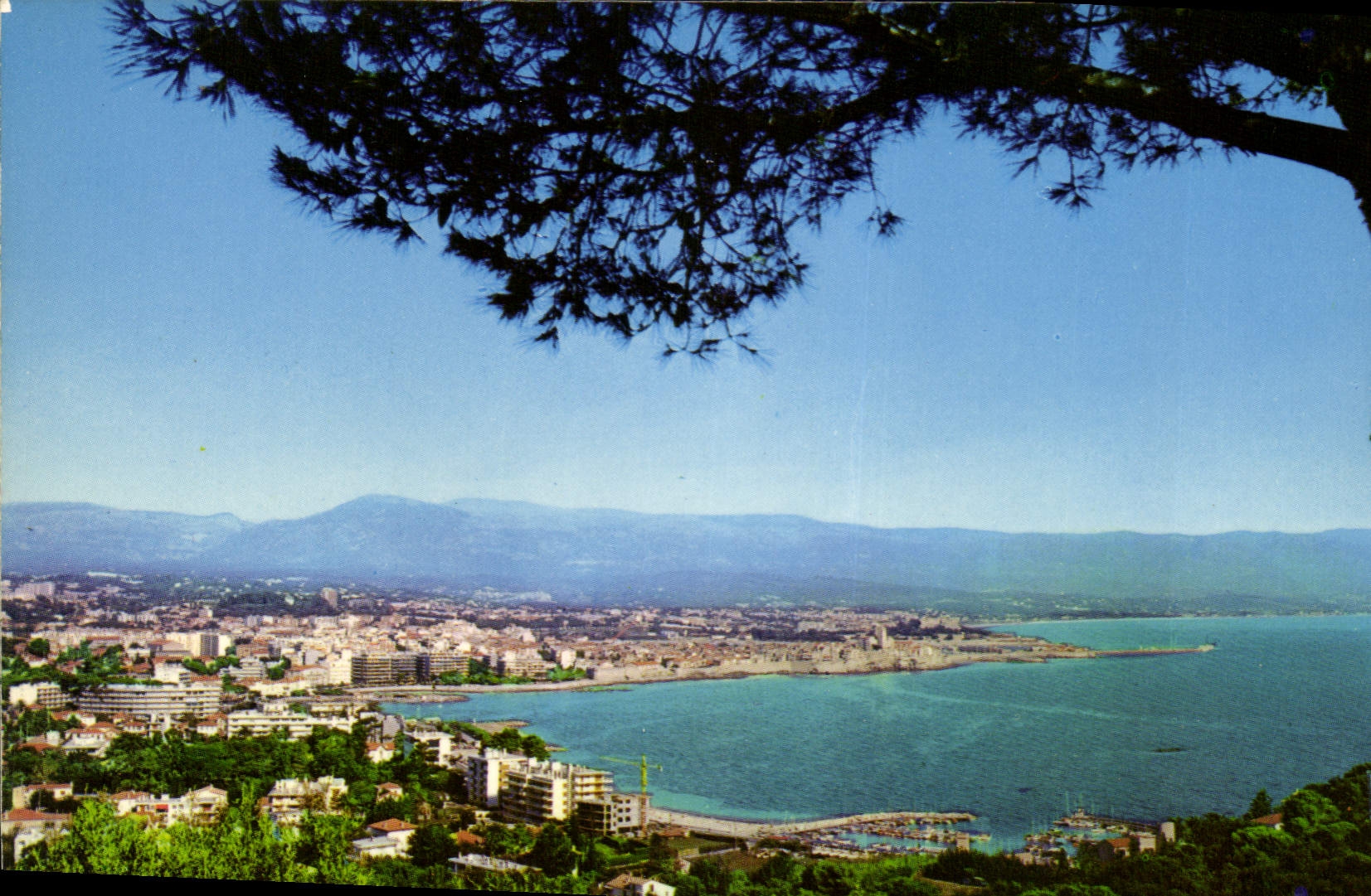 CPM Au Soleil de la Cote d'Azur Antibes vue generale 