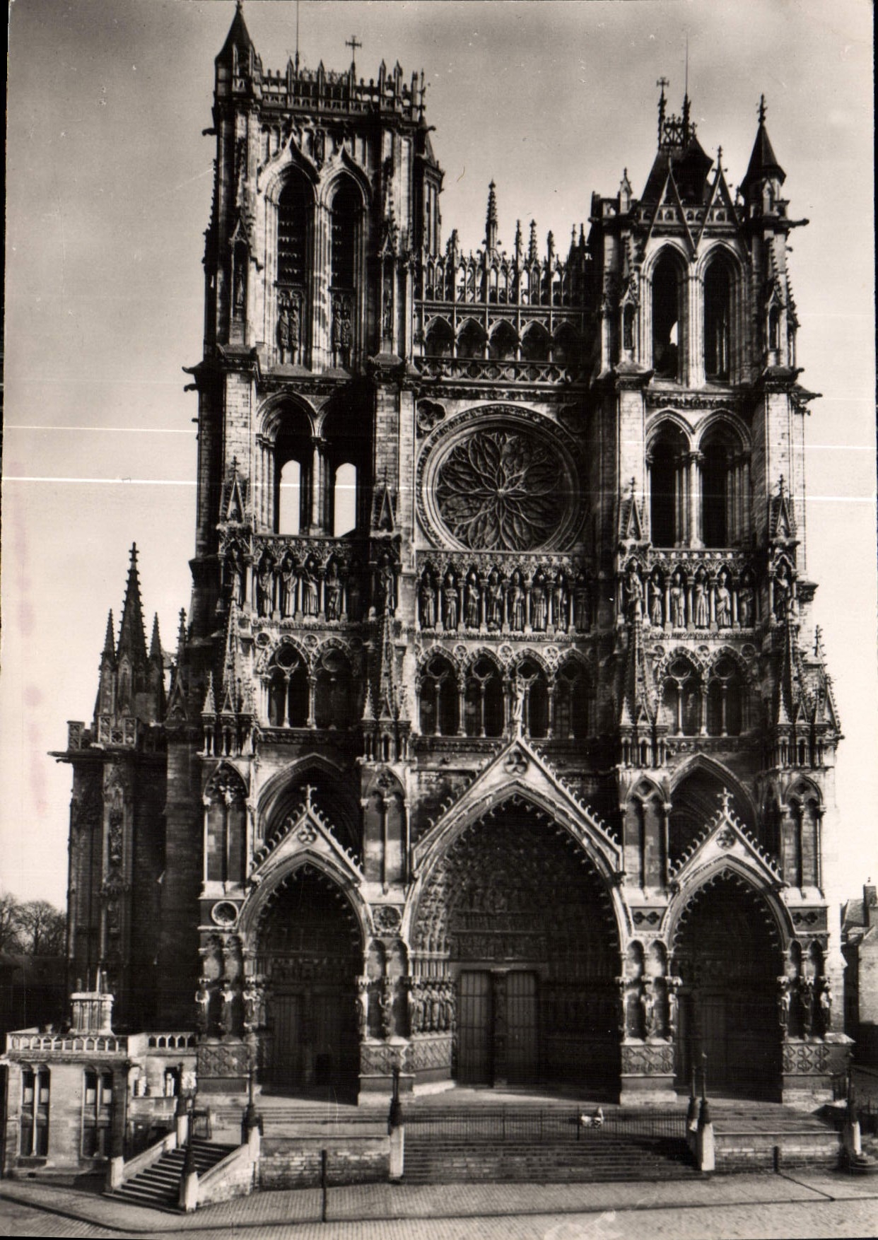 CPM Amiens Somme cathedrale Notre Dame XIII S Facade occidentale
