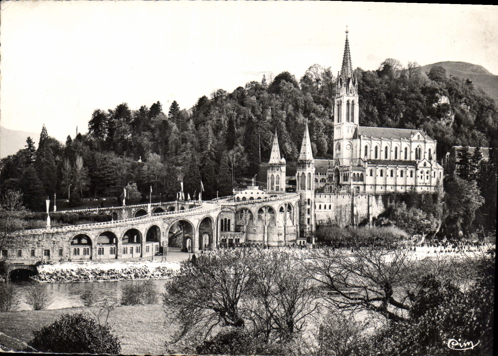 CPM Lourdes Hautes Pyrenees la Basilique et le Gave 