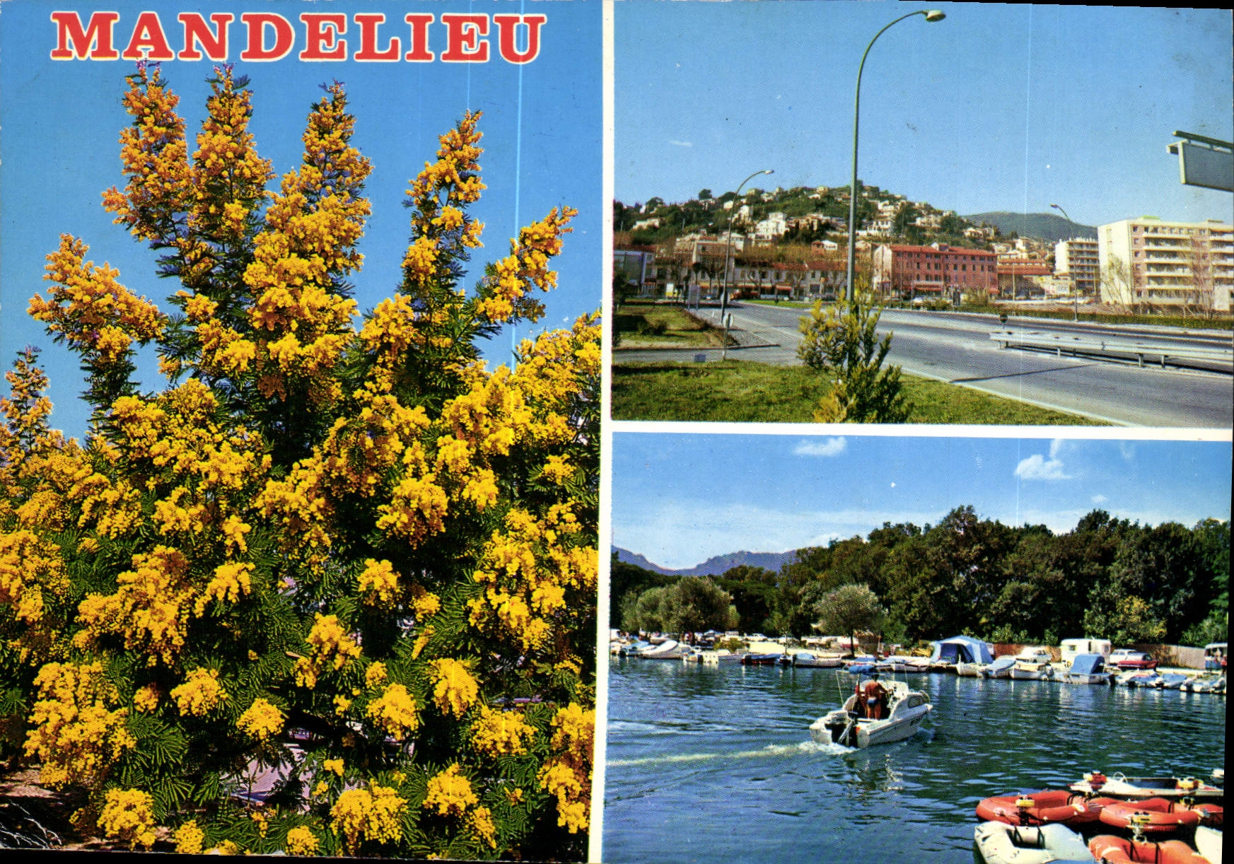 CPM Mandelieu Cote d'Azur La colline aux Mimosas les bords de la Siagne