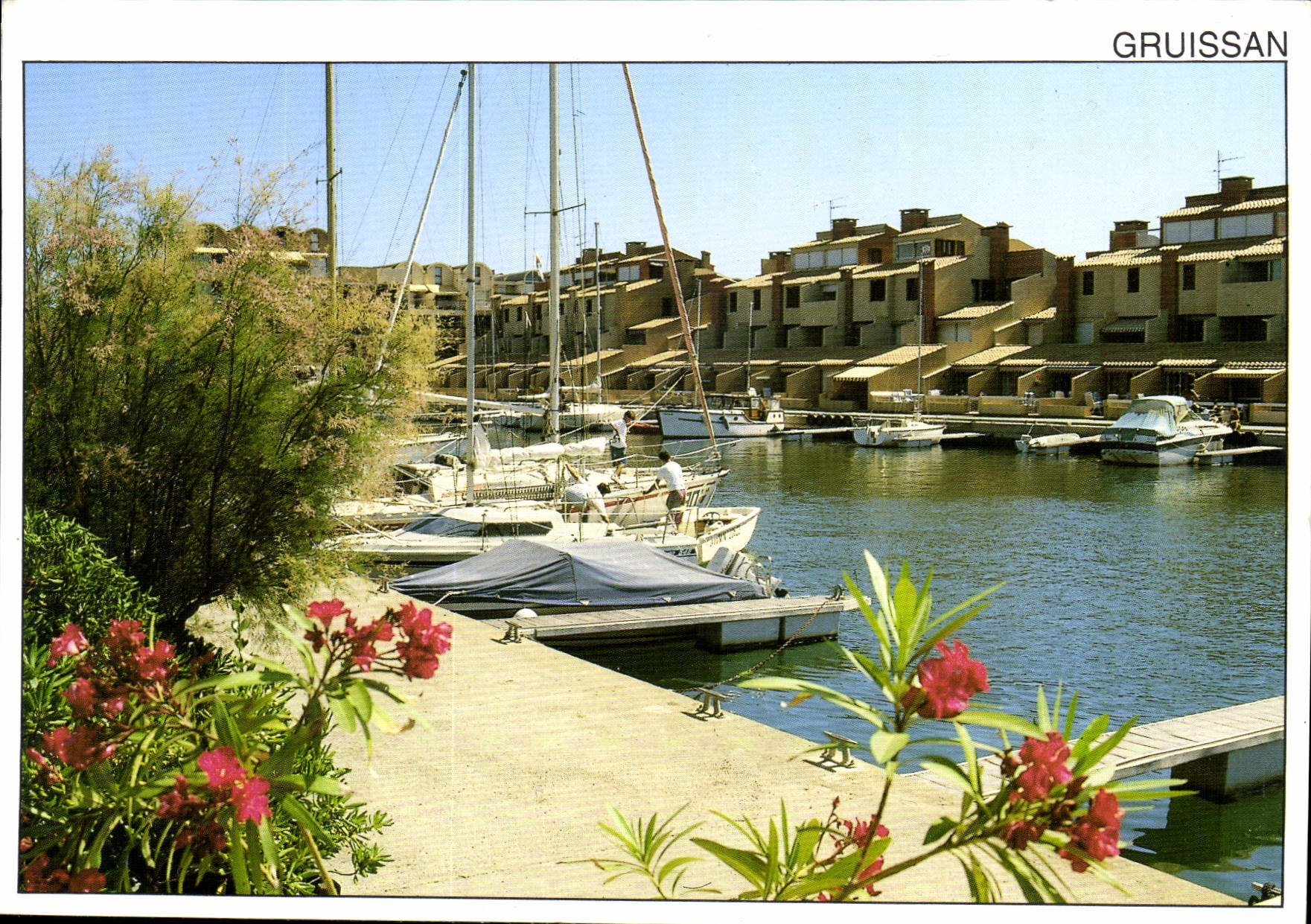 CPM Image de France Gruissan 