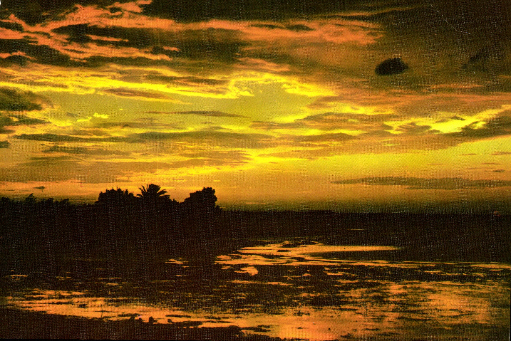 CPM Cote mediterranenne Crepuscule sur la rive