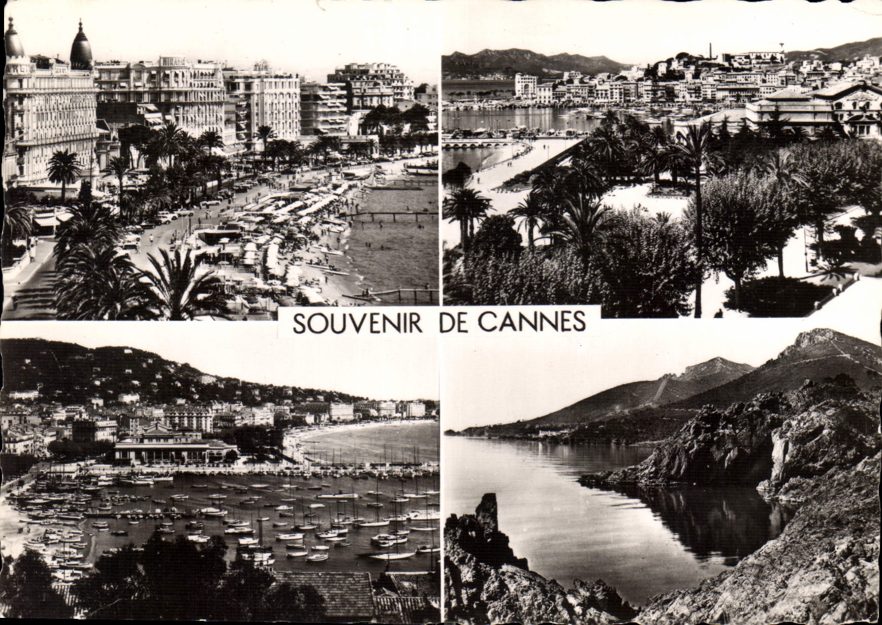 CPM La Cote d'Azur Souvenir de Cannes 