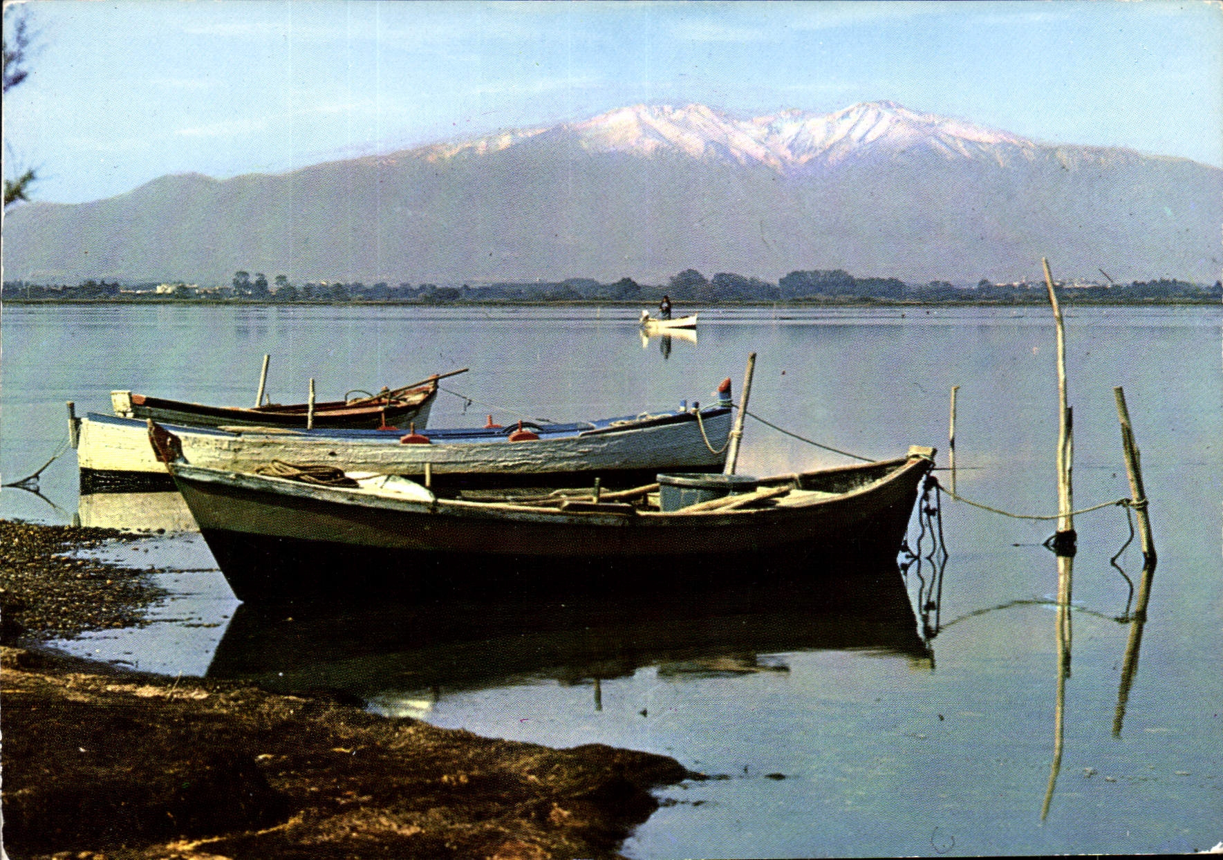 CPM Cote Mediterraneenne Le maasif du Canigou vue de etage 
