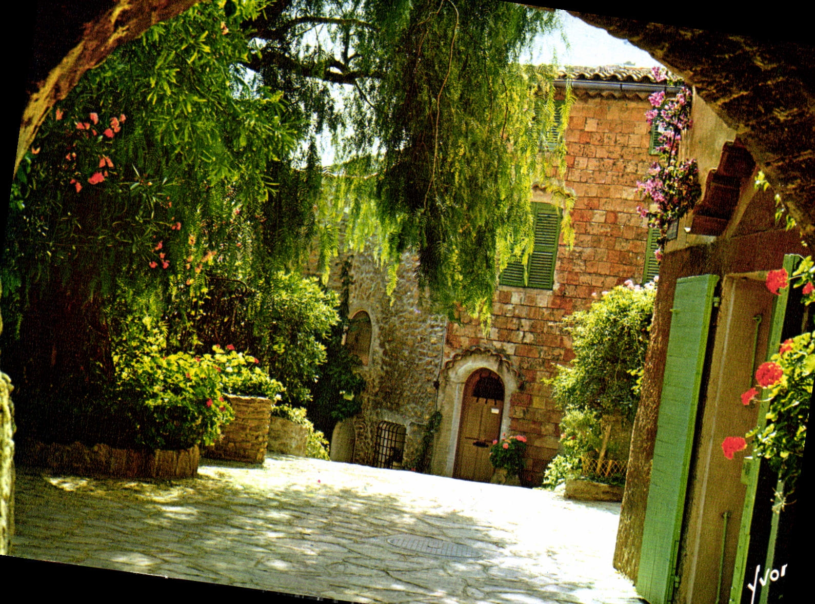 CPM Couleurs et Ljumiere de France La Cote d'Azur miracle de la nature Dans un Village Provencal 