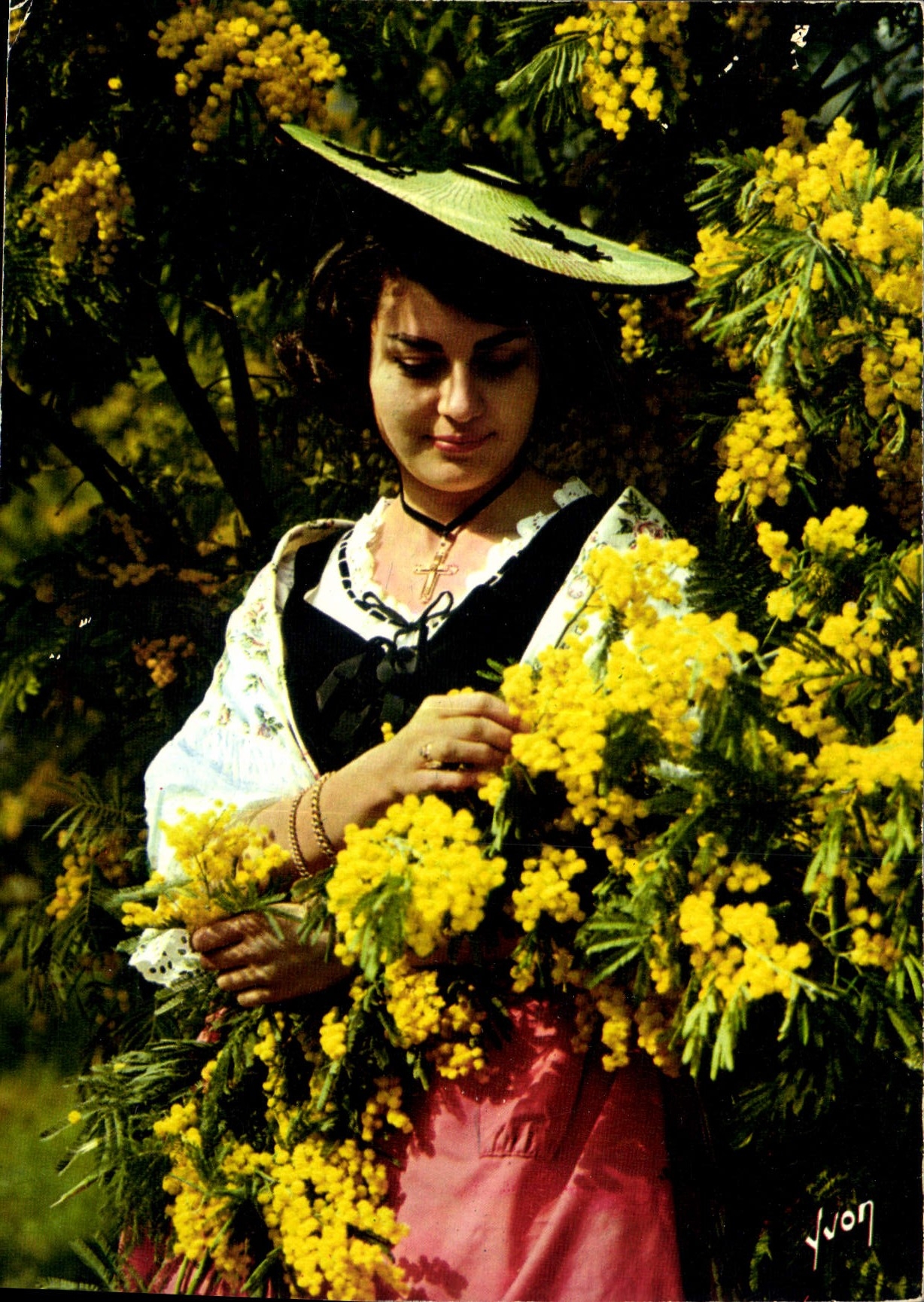 CPM Couleurs et Lumiere de France La Cote d'Azur miracle de la nature Voici des Fleurs 
