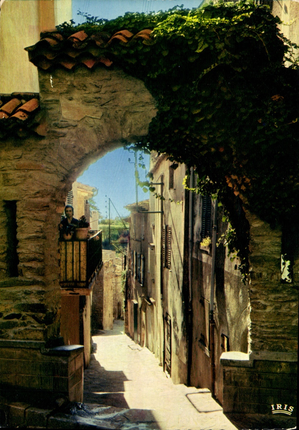 CPM Reflets de la Cote d'Azur Visage de Provence 